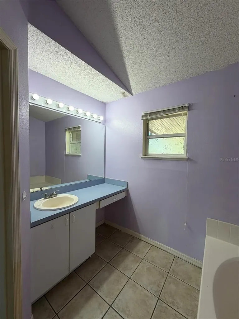 1011 Eiffel Lane Kissimmee FL 34759