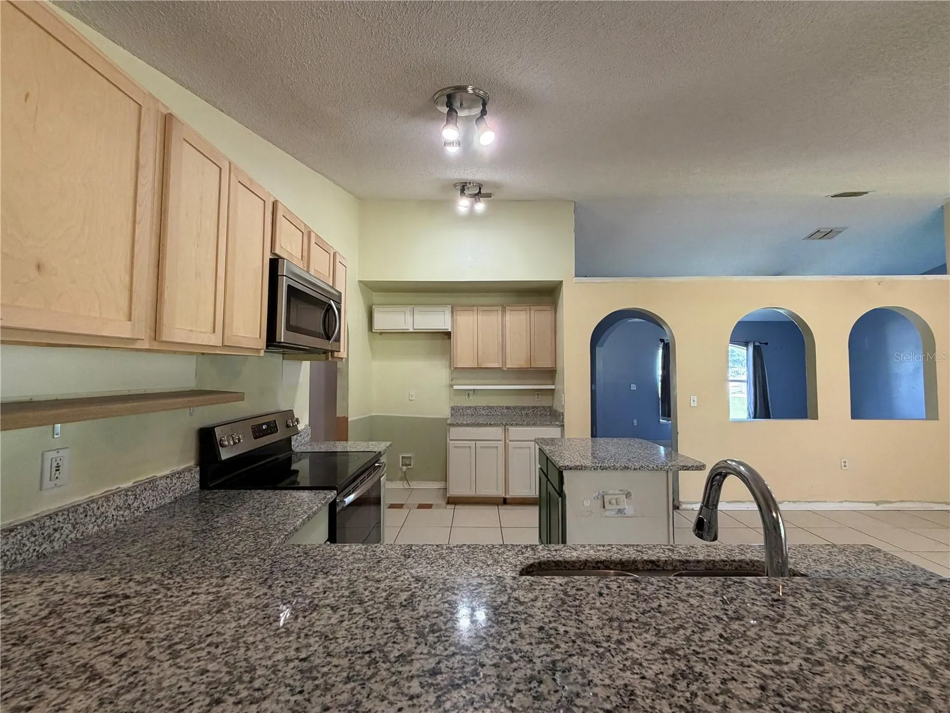 1011 Eiffel Lane Kissimmee FL 34759