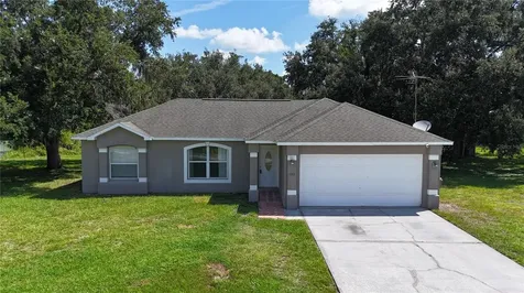1011 Eiffel Lane Kissimmee FL 34759
