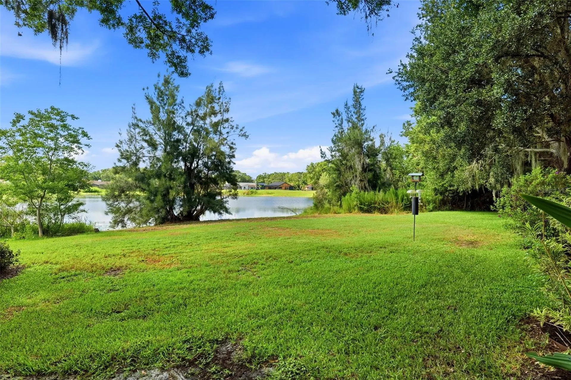 708 Warren Road Lutz FL 33548