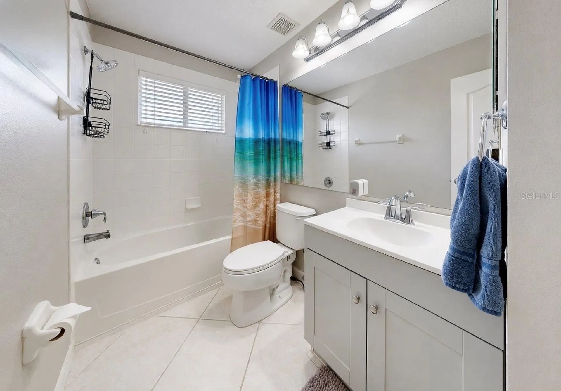 13332 Graham Yarden Drive Riverview FL 33579