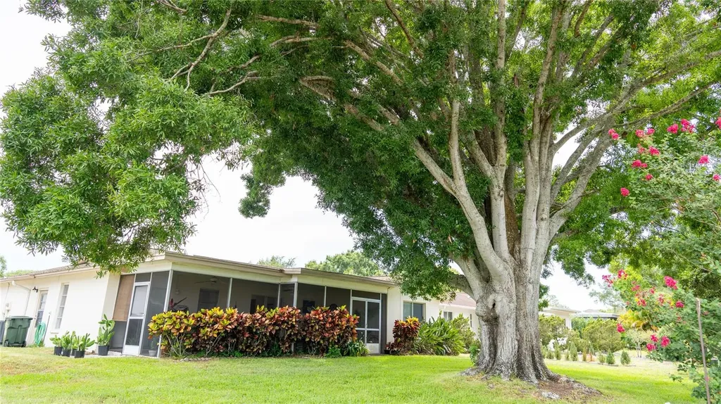 150 Stafford Circle Palm Harbor FL 34684