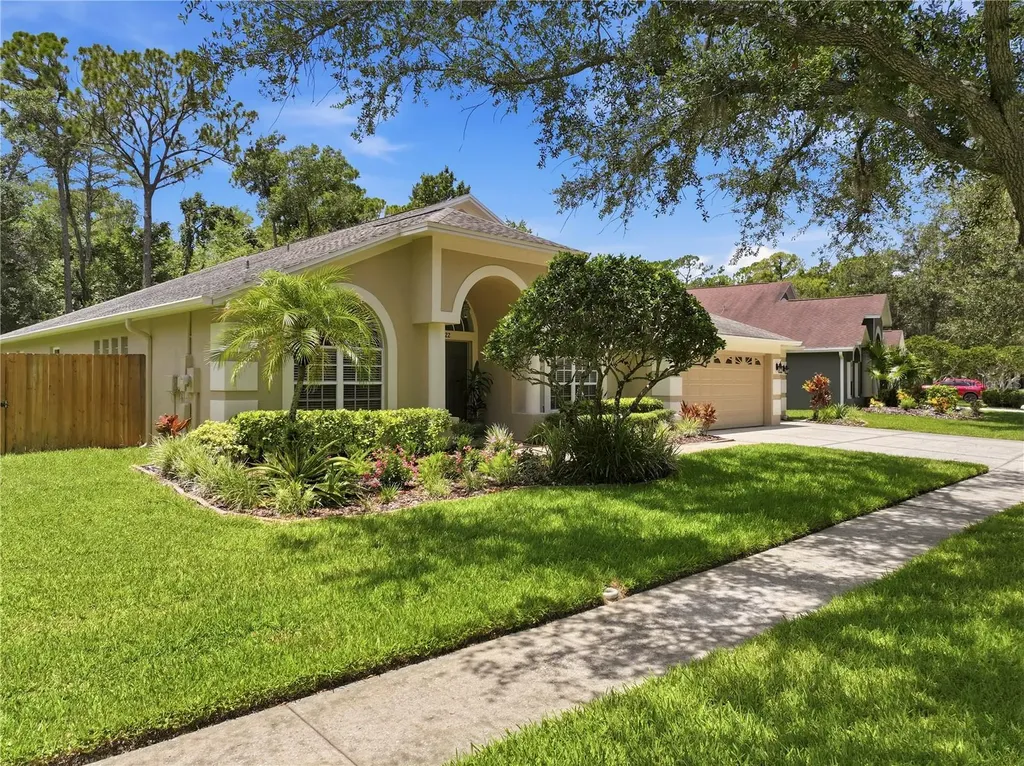 10522 Chambers Drive Tampa FL 33626