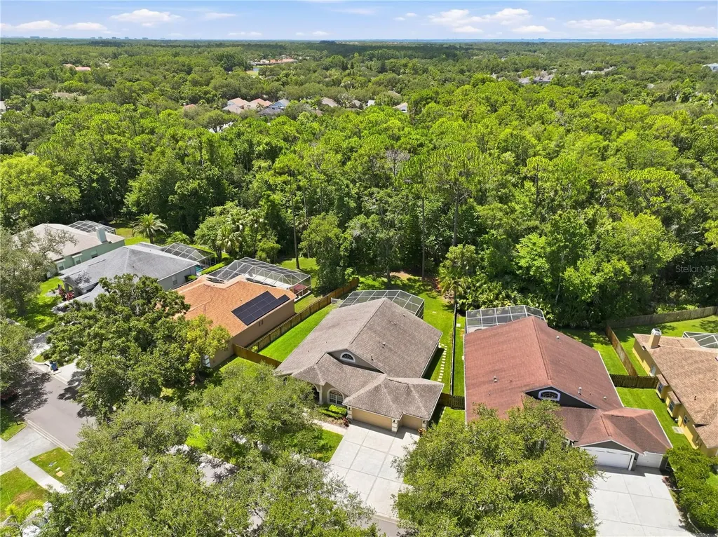 10522 Chambers Drive Tampa FL 33626