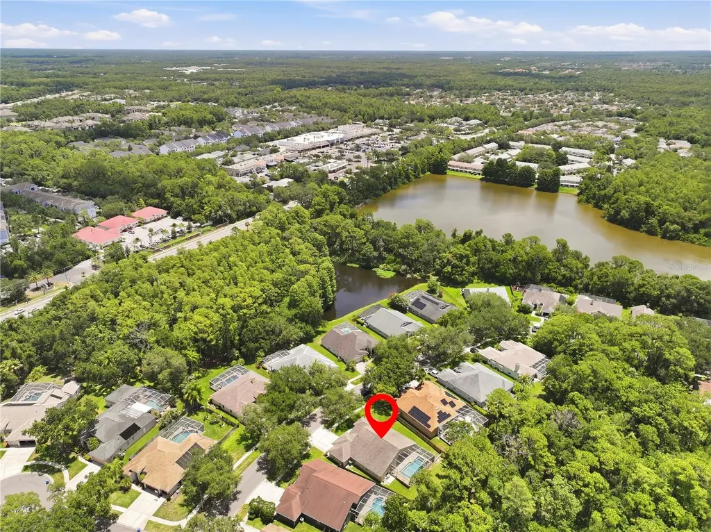 10522 Chambers Drive Tampa FL 33626