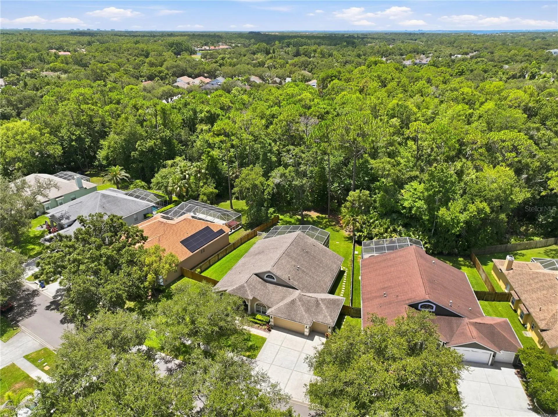 10522 Chambers Drive Tampa FL 33626