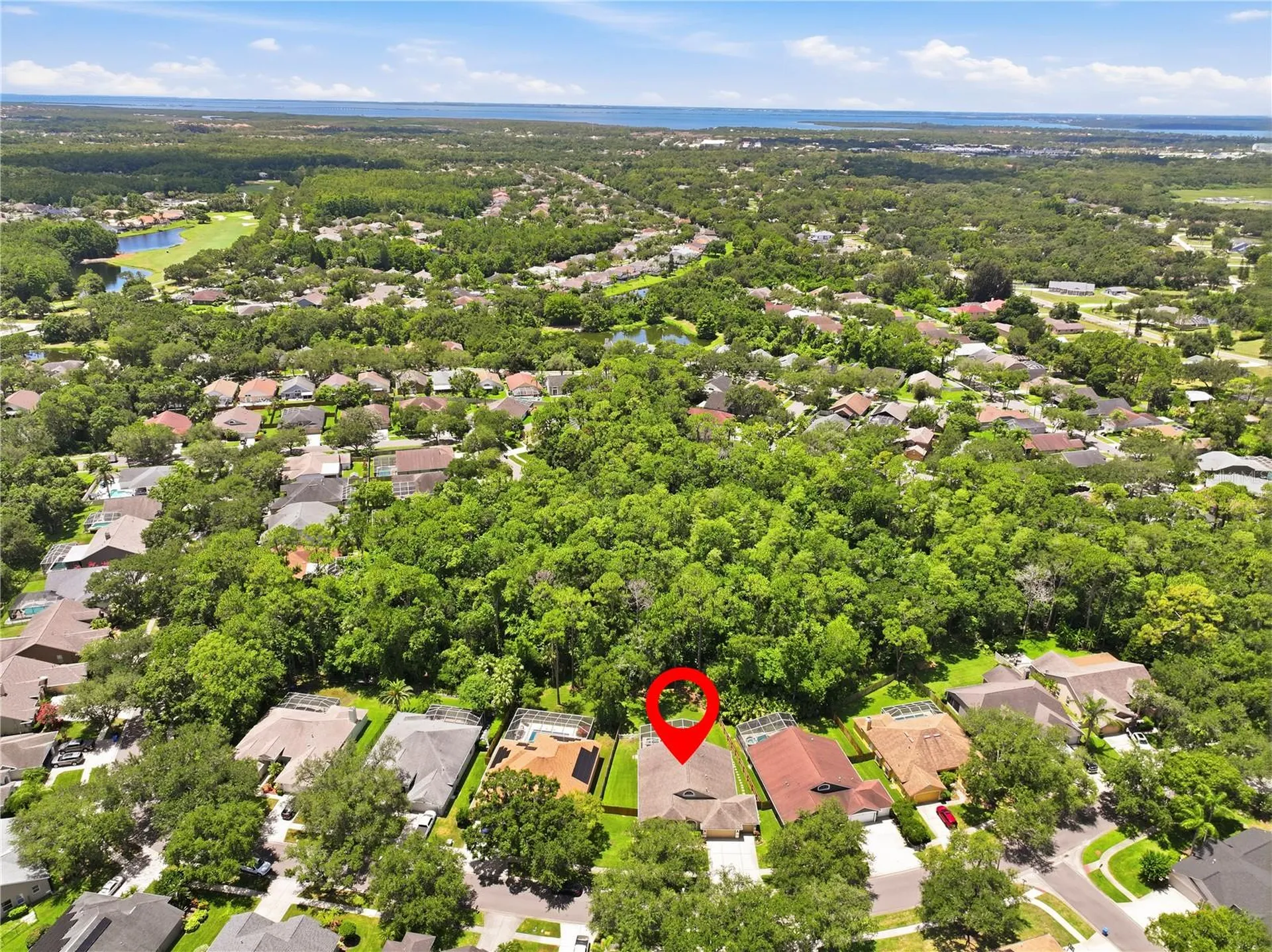 10522 Chambers Drive Tampa FL 33626