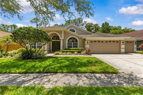 10522 Chambers Drive Tampa FL 33626