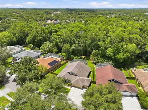 10522 Chambers Drive Tampa FL 33626