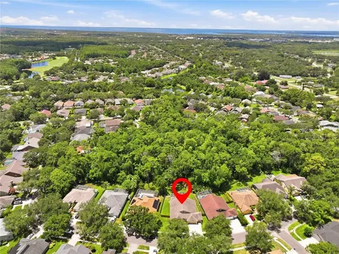 10522 Chambers Drive Tampa FL 33626