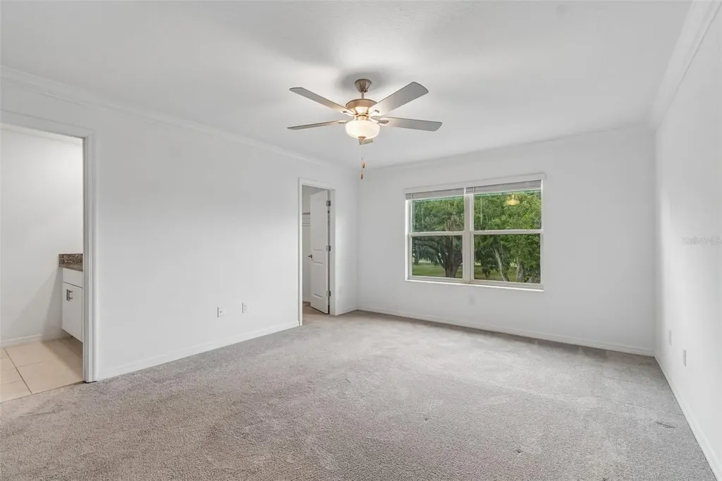 30751 Veridian Way Wesley Chapel FL 33543