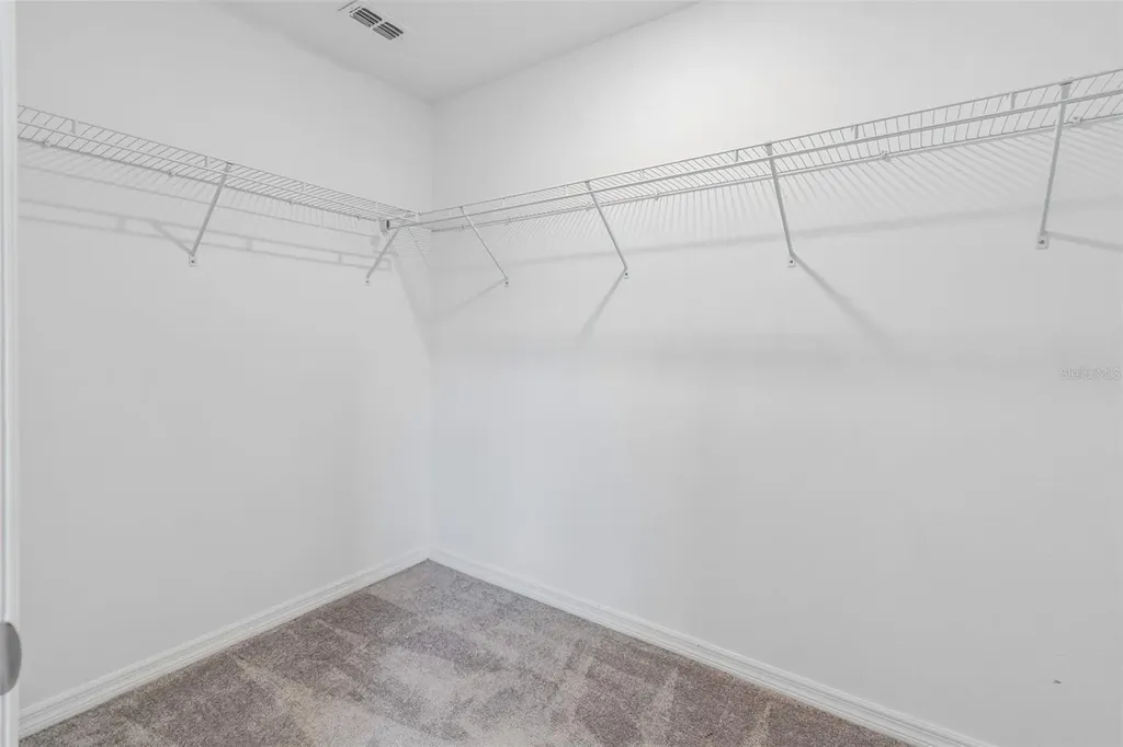 30751 Veridian Way Wesley Chapel FL 33543