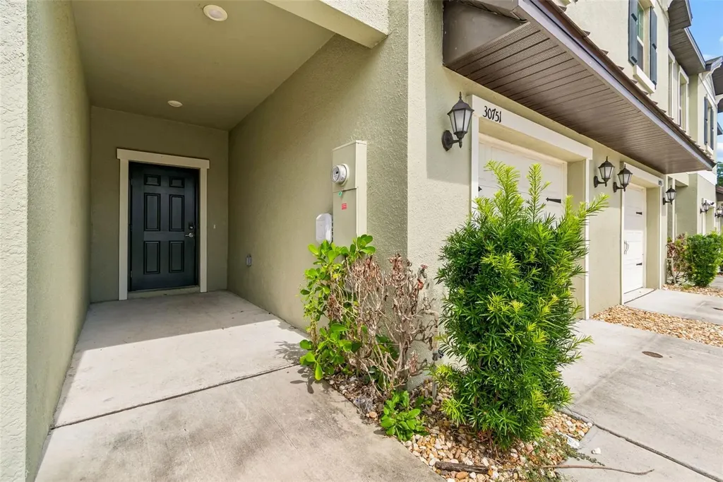 30751 Veridian Way Wesley Chapel FL 33543
