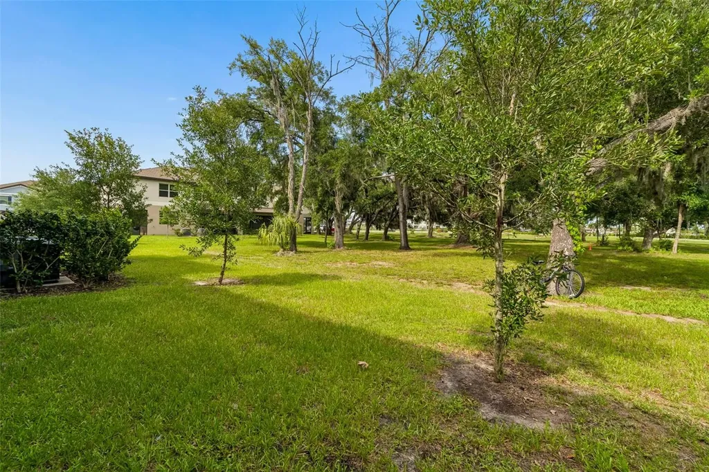 30751 Veridian Way Wesley Chapel FL 33543