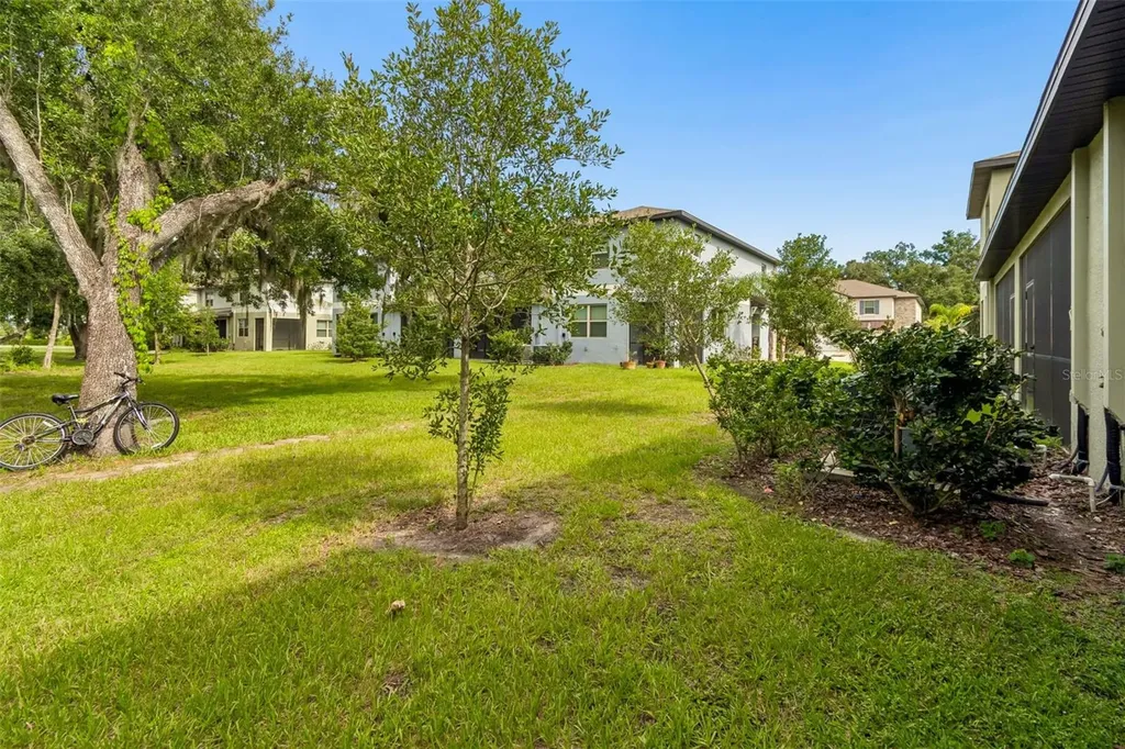 30751 Veridian Way Wesley Chapel FL 33543