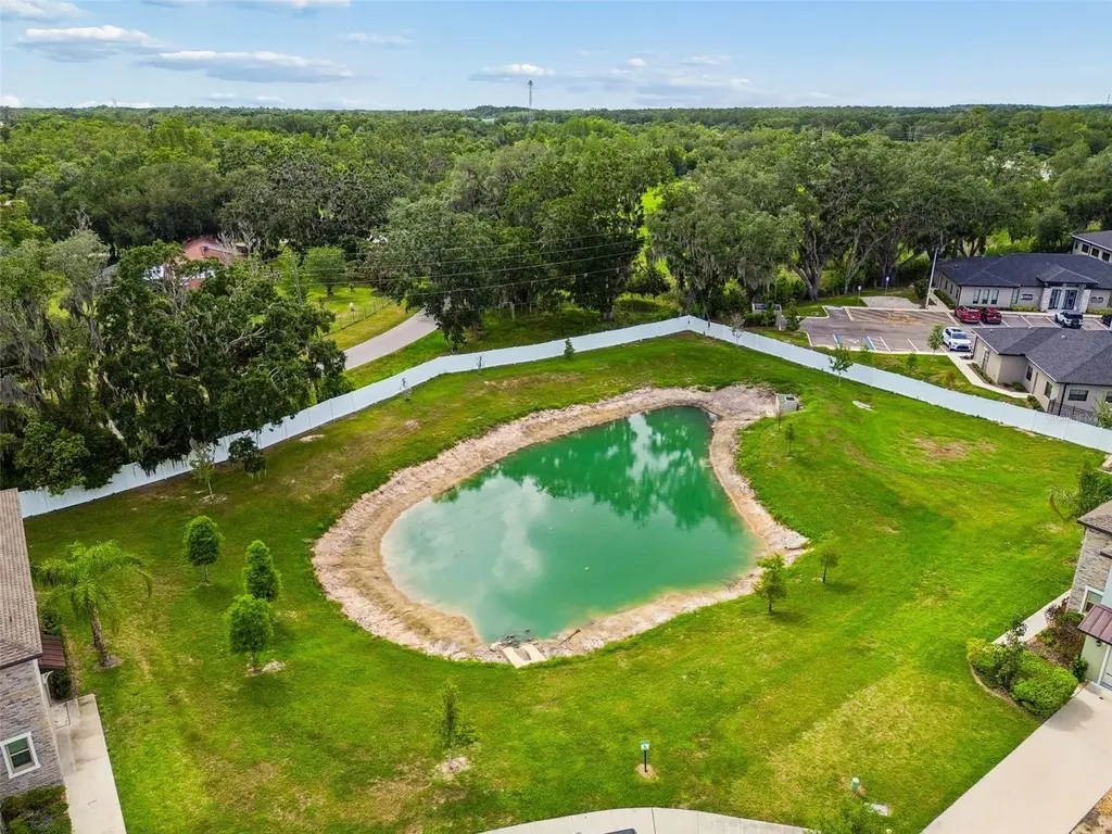 30751 Veridian Way Wesley Chapel FL 33543