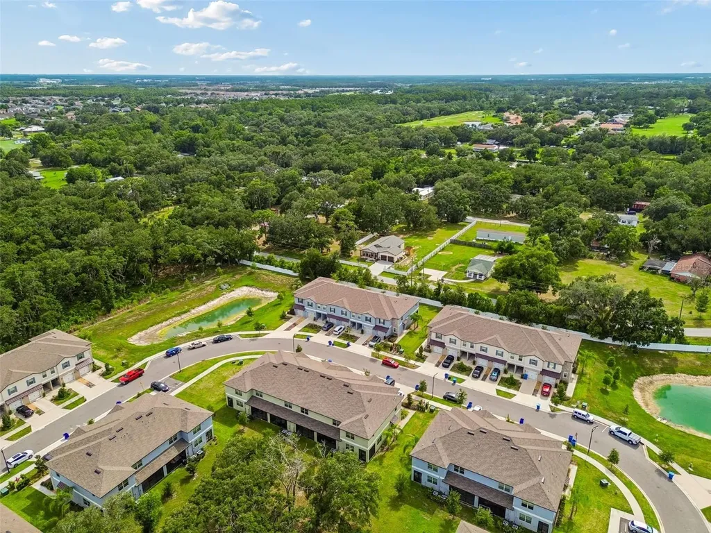 30751 Veridian Way Wesley Chapel FL 33543