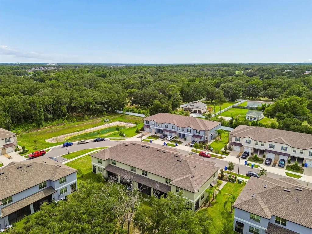 30751 Veridian Way Wesley Chapel FL 33543