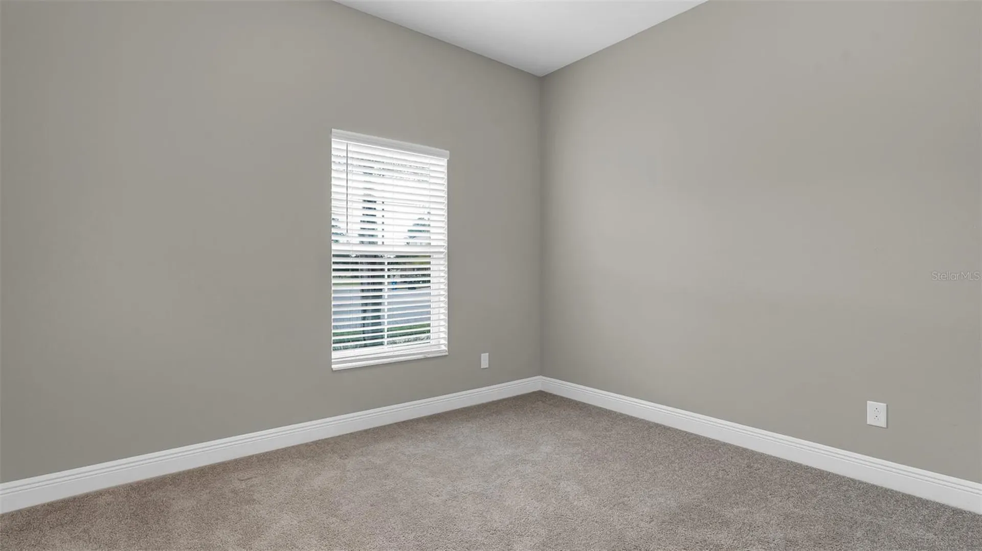 19455 Redwood Point Drive Tampa FL 33647