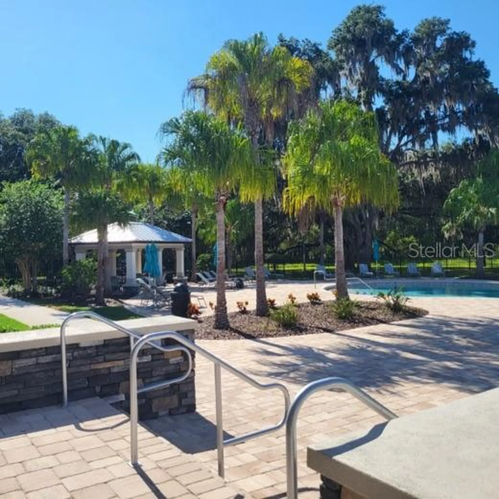 19455 Redwood Point Drive Tampa FL 33647