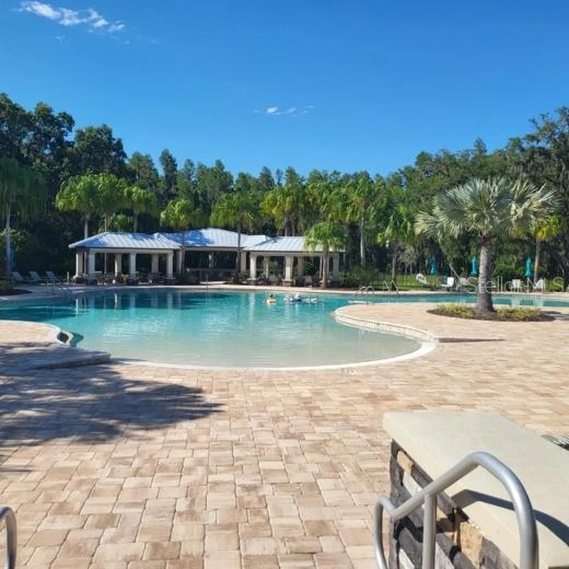 19455 Redwood Point Drive Tampa FL 33647