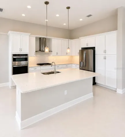 32630 Neroli Street Wesley Chapel FL 33543