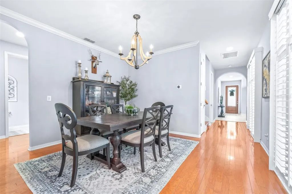 20302 Chestnut Grove Drive Tampa FL 33647