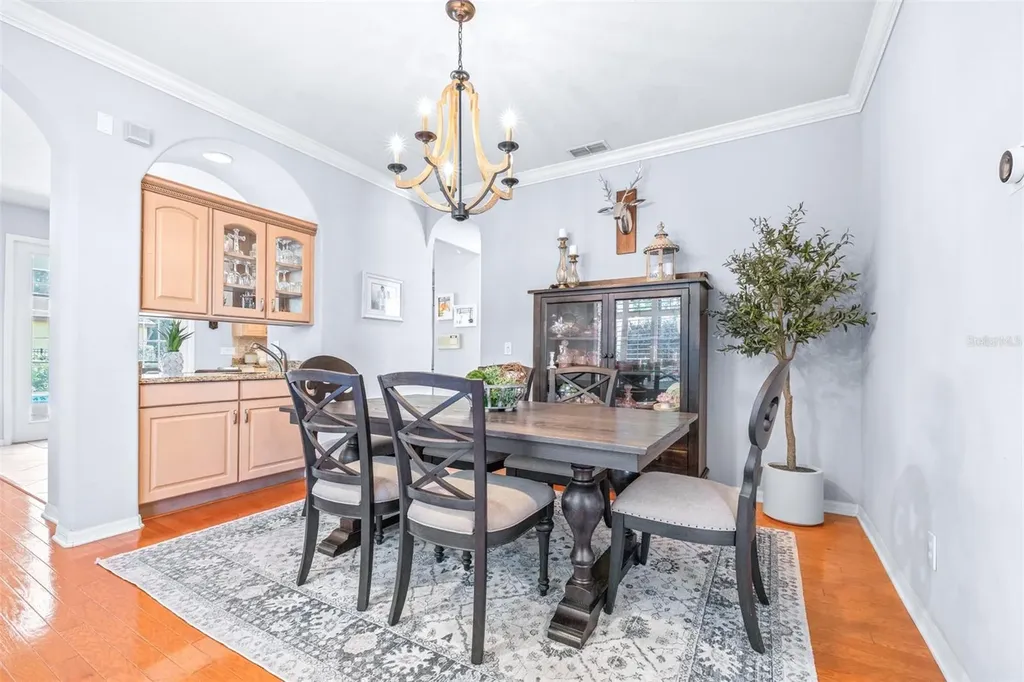 20302 Chestnut Grove Drive Tampa FL 33647