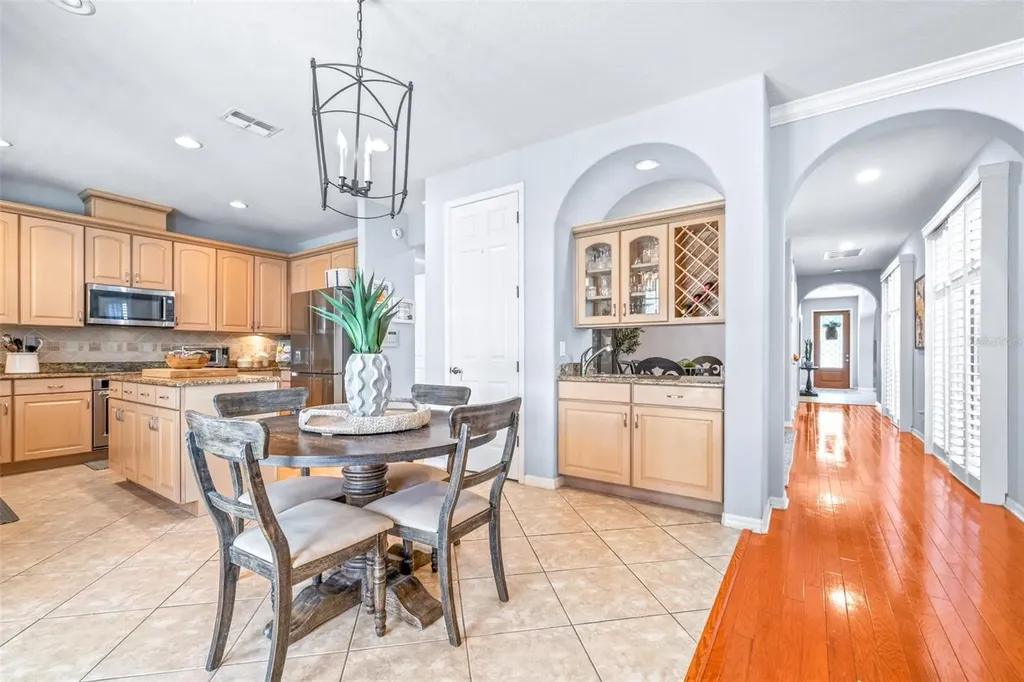 20302 Chestnut Grove Drive Tampa FL 33647