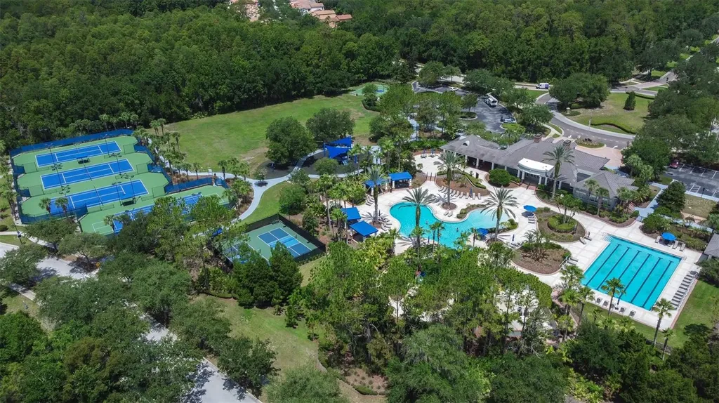 20302 Chestnut Grove Drive Tampa FL 33647