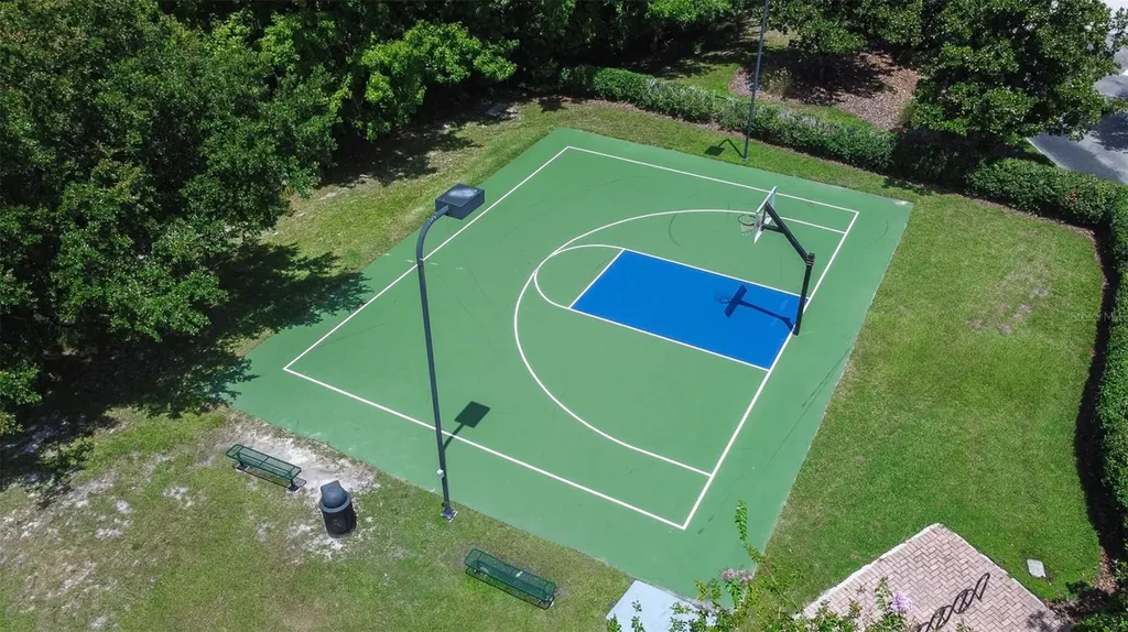 20302 Chestnut Grove Drive Tampa FL 33647