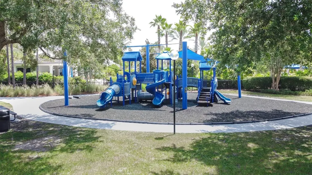 20302 Chestnut Grove Drive Tampa FL 33647