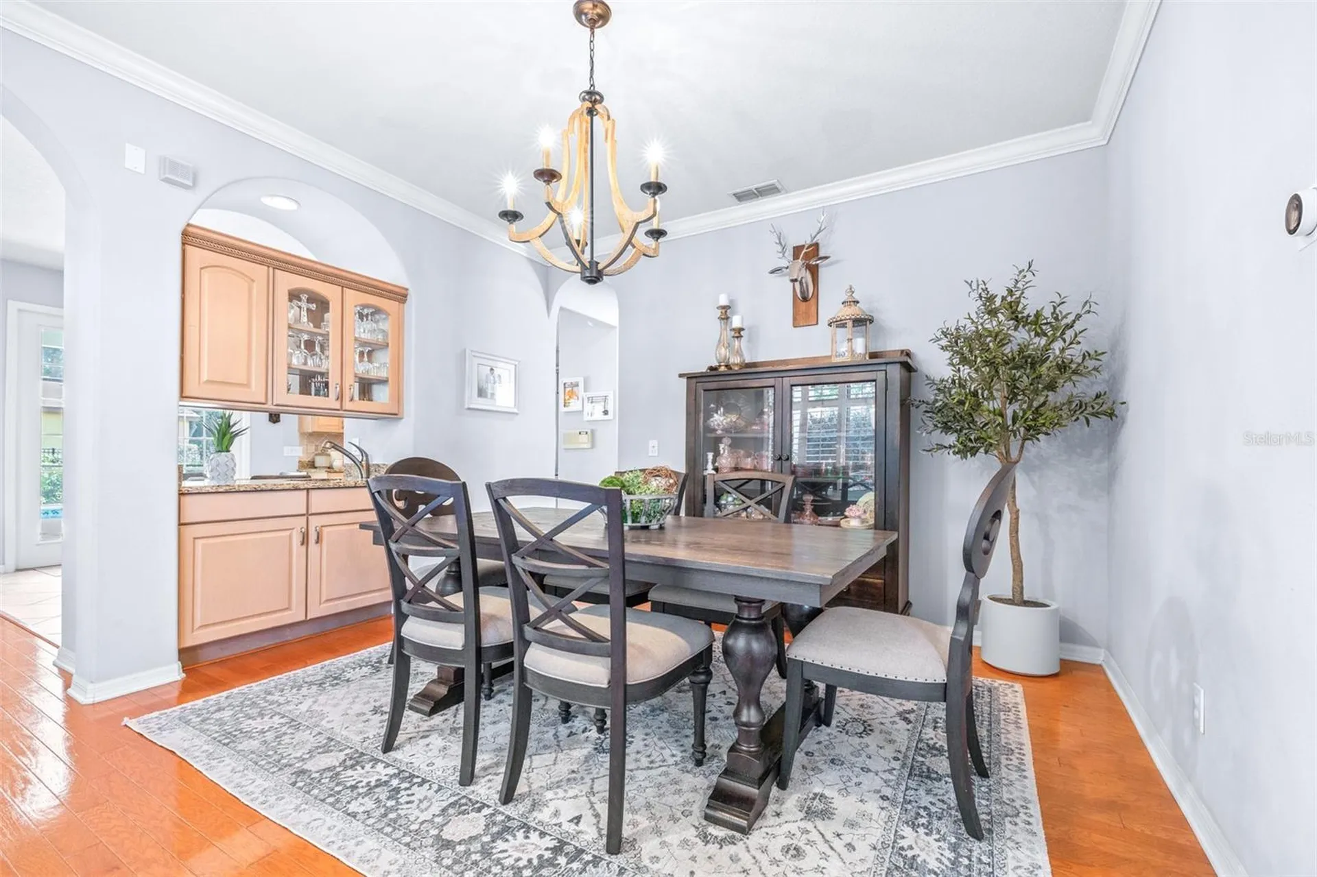 20302 Chestnut Grove Drive Tampa FL 33647
