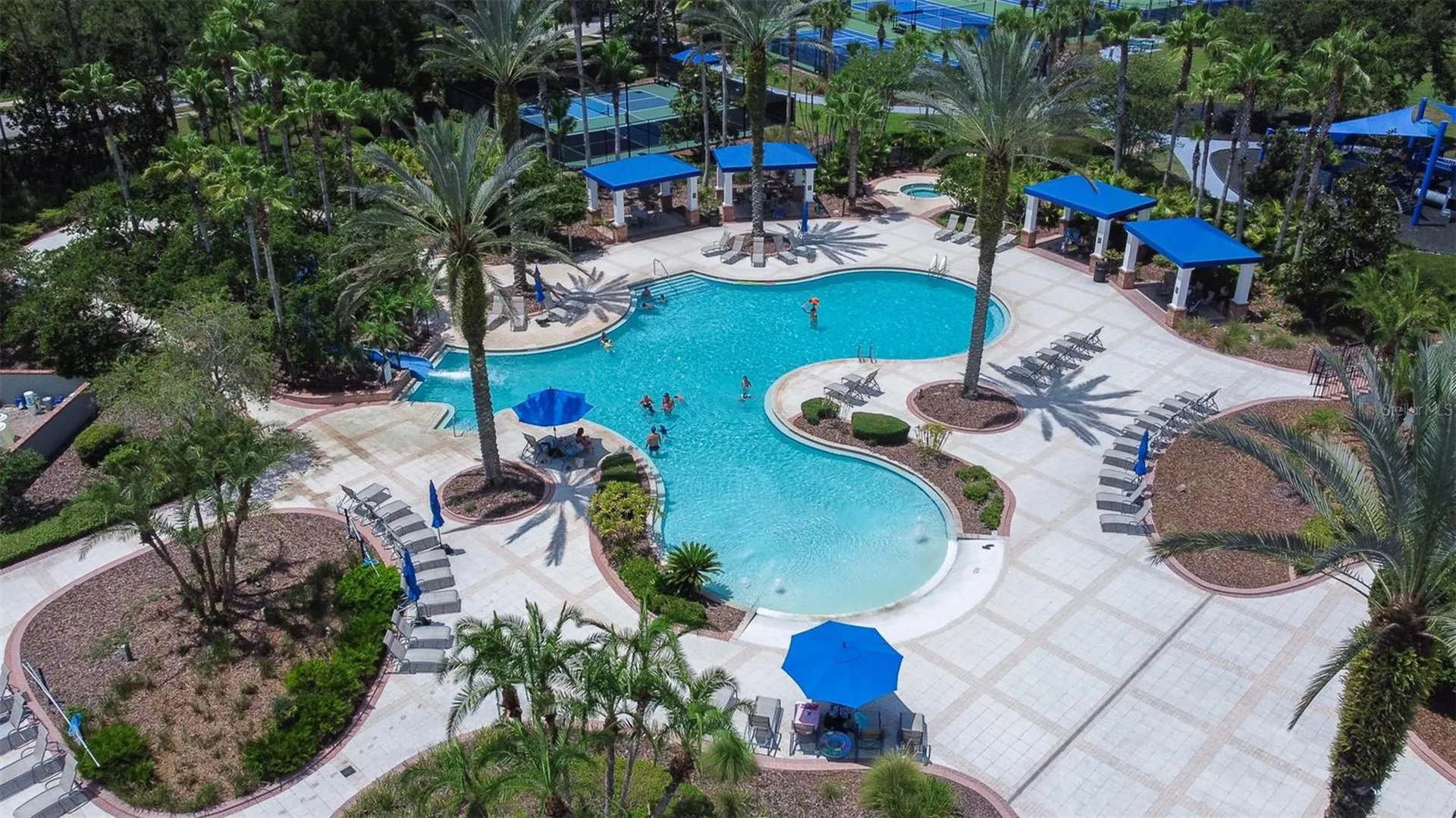20302 Chestnut Grove Drive Tampa FL 33647