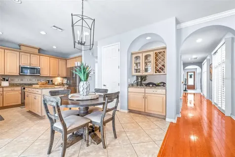 20302 Chestnut Grove Drive Tampa FL 33647