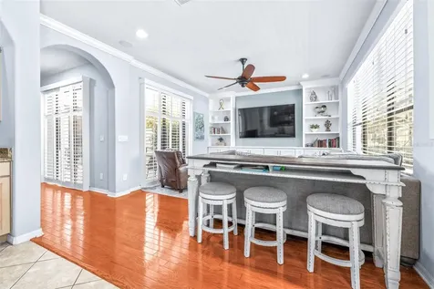 20302 Chestnut Grove Drive Tampa FL 33647