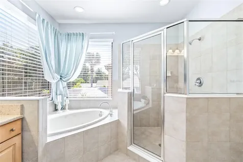 20302 Chestnut Grove Drive Tampa FL 33647