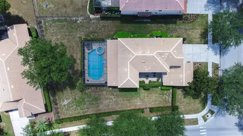 20302 Chestnut Grove Drive Tampa FL 33647