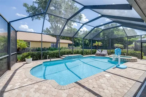 20302 Chestnut Grove Drive Tampa FL 33647