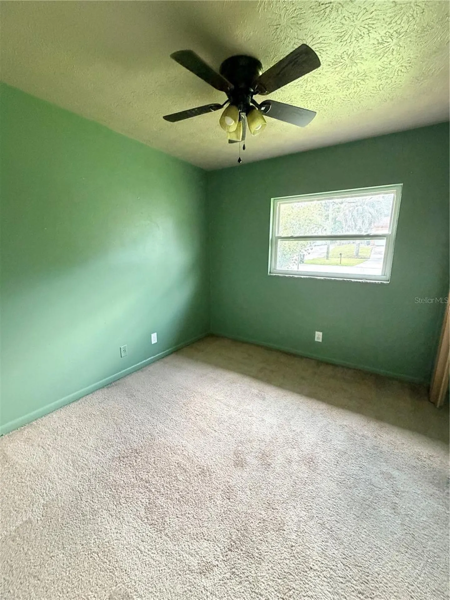 175 Capella Road Orange Park FL 32073