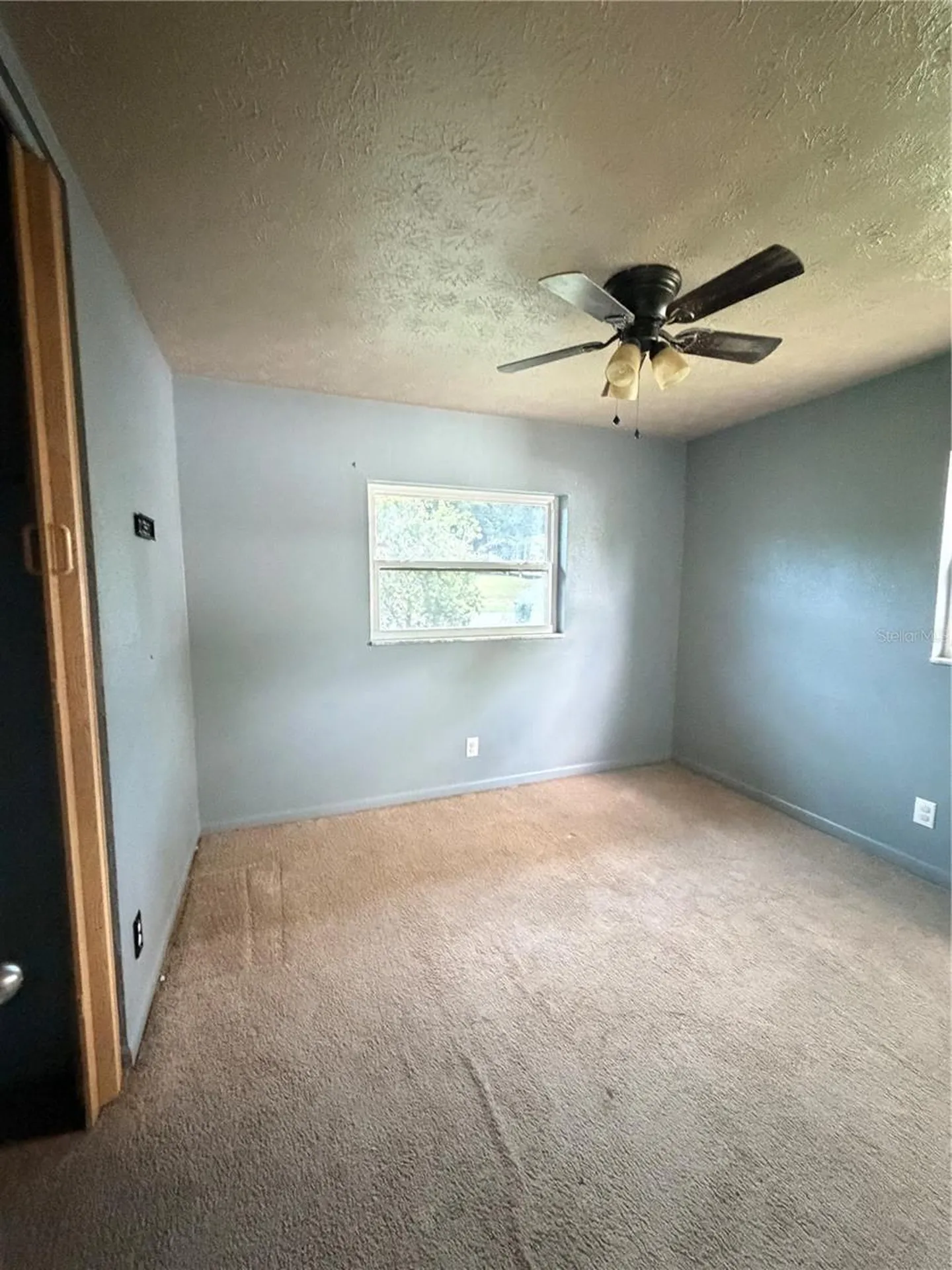175 Capella Road Orange Park FL 32073