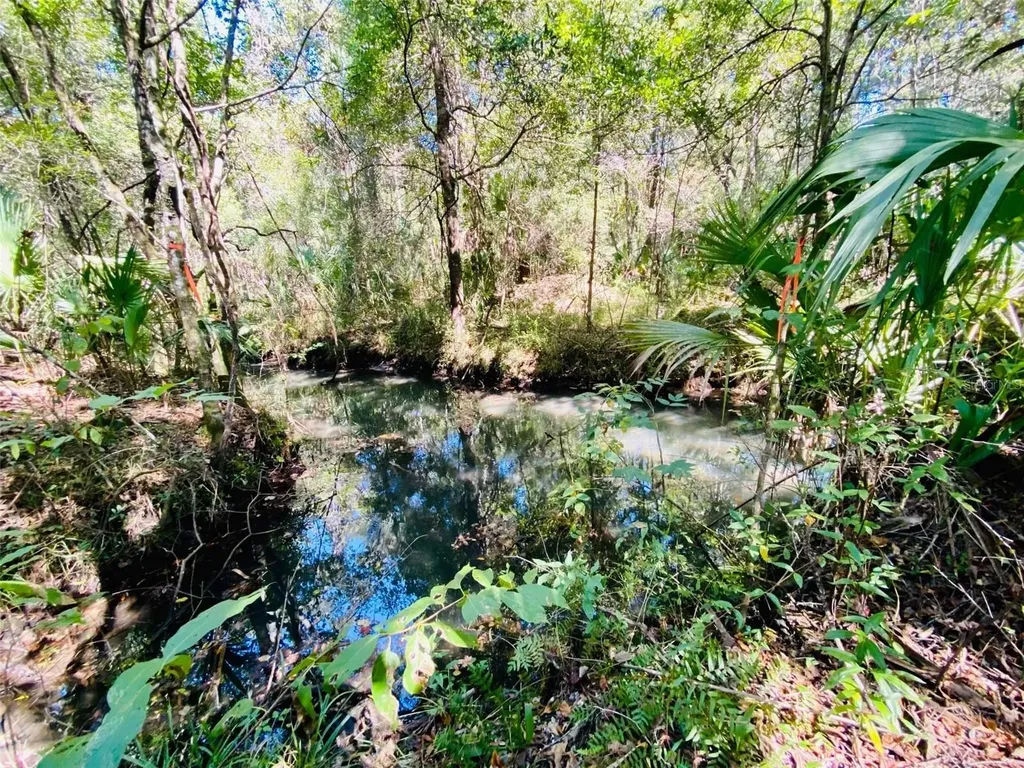 9302 W Tall Pines Court Crystal River FL 34428
