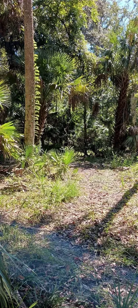 9302 W Tall Pines Court Crystal River FL 34428
