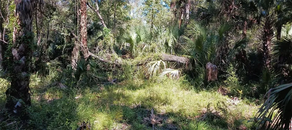 9302 W Tall Pines Court Crystal River FL 34428