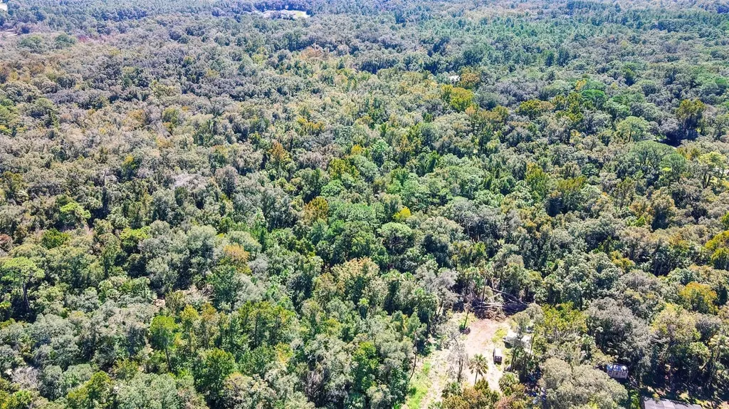 9302 W Tall Pines Court Crystal River FL 34428