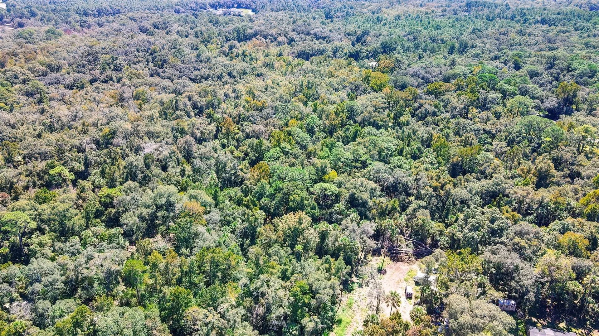 9302 W Tall Pines Court Crystal River FL 34428