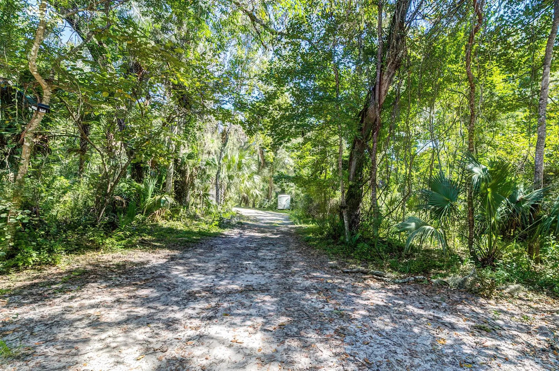 9302 W Tall Pines Court Crystal River FL 34428