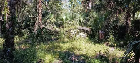 9302 W Tall Pines Court Crystal River FL 34428