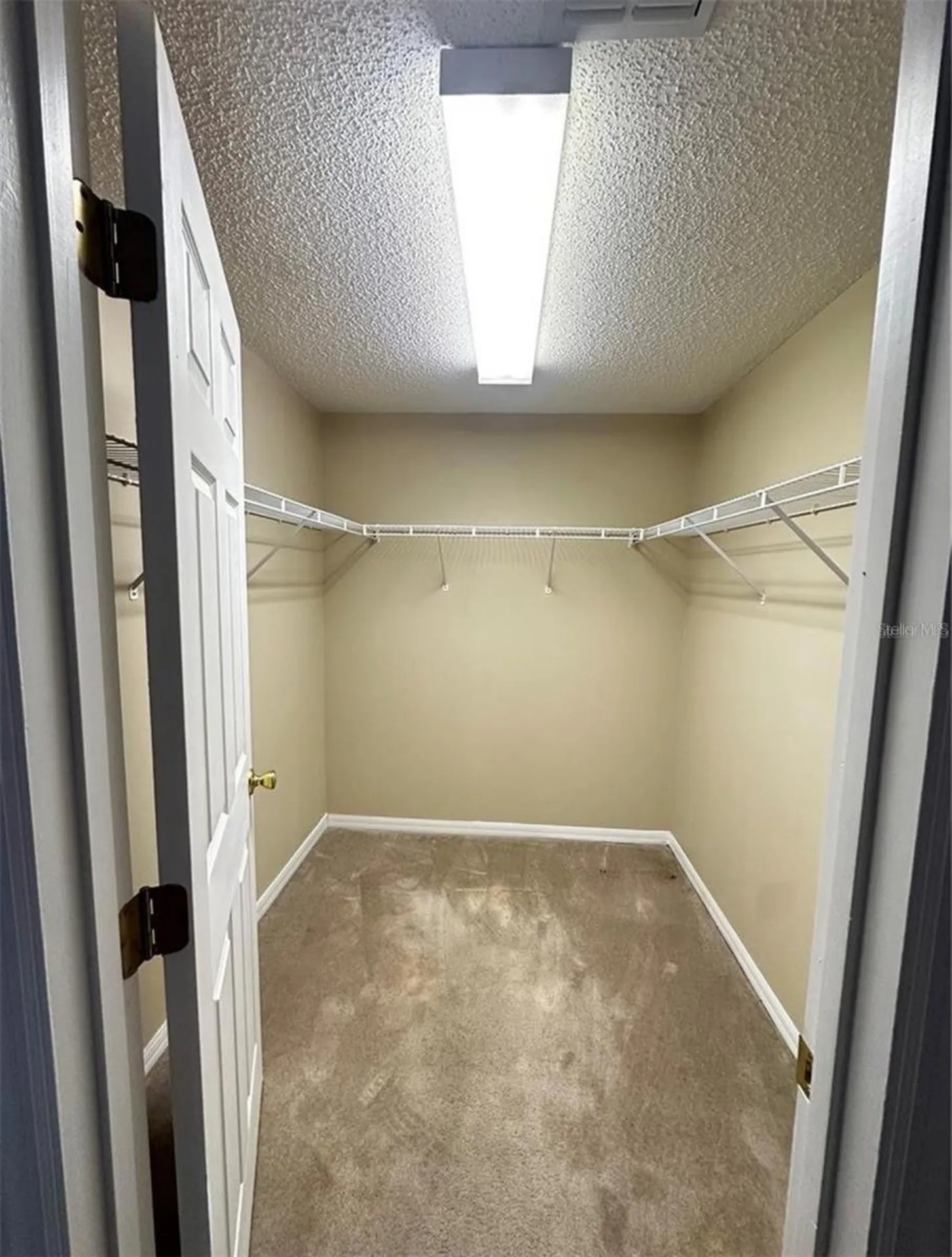 1836 Sandy Creek Lane Orlando FL 32826