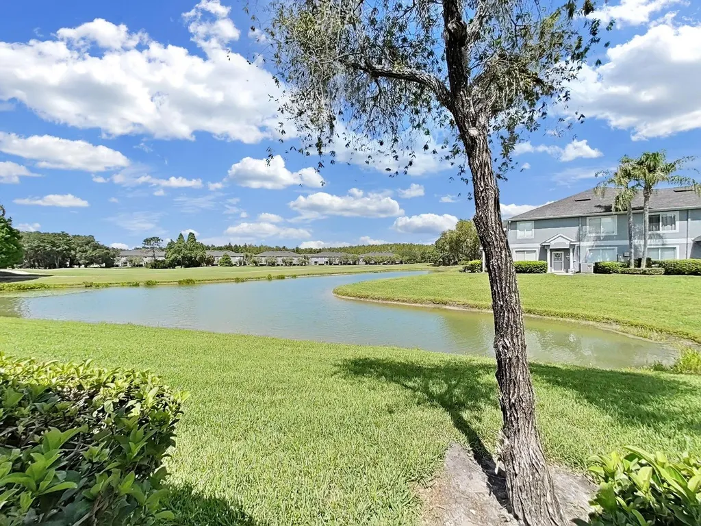 18126 Paradise Point Drive Tampa FL 33647